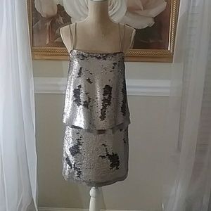 Banana Republic Silver Sequins & Silk Sheer Dress